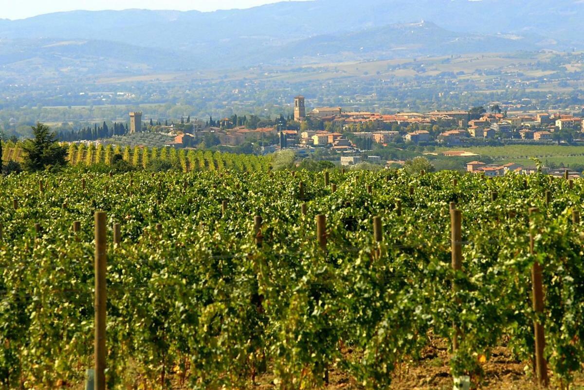 Agriturismo Wine Casale Villa Chiara Torgiano Esterno foto