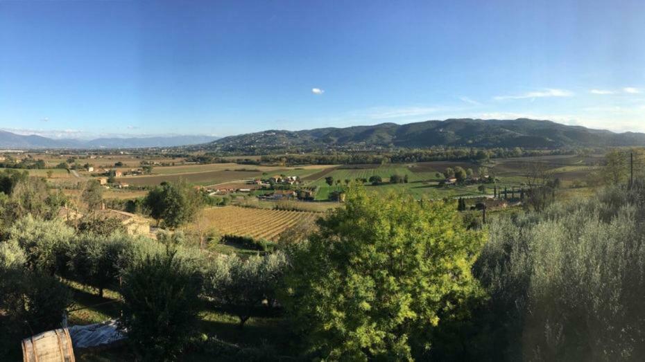 Agriturismo Wine Casale Villa Chiara Torgiano Esterno foto