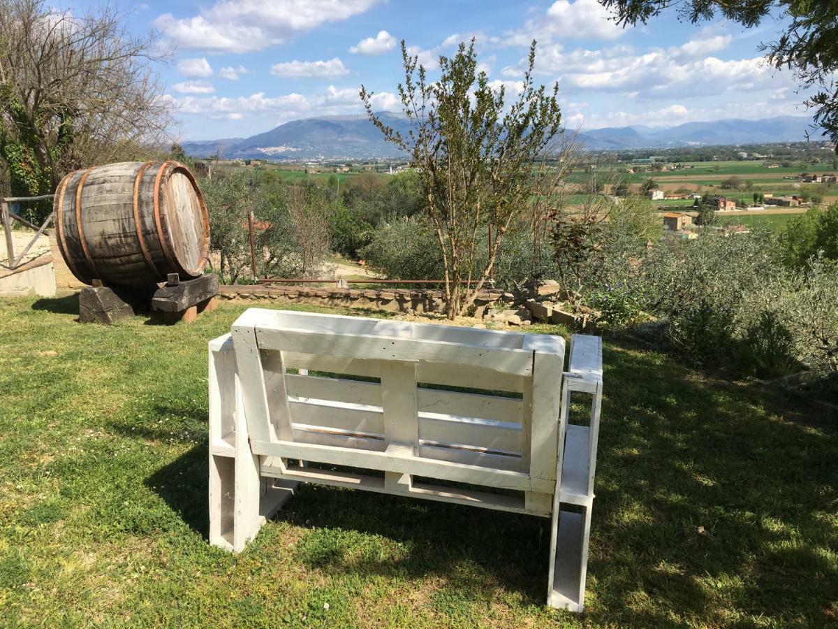 Agriturismo Wine Casale Villa Chiara Torgiano Esterno foto