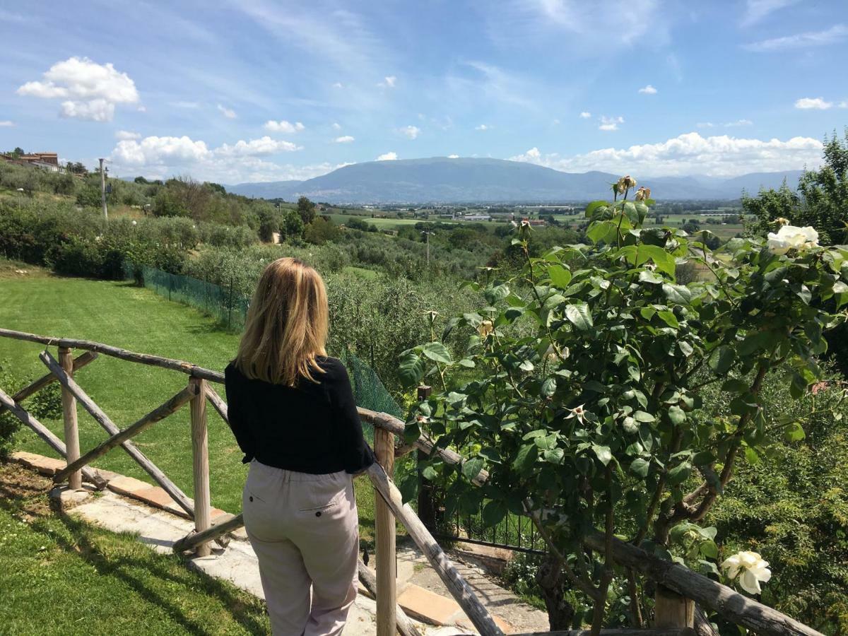 Agriturismo Wine Casale Villa Chiara Torgiano Esterno foto