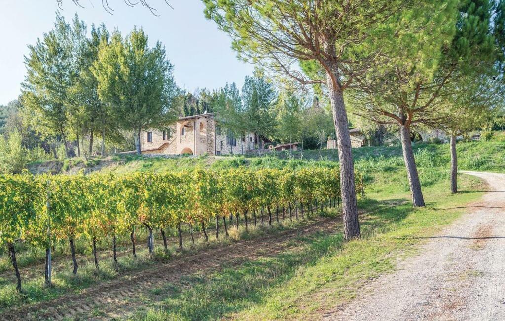 Agriturismo Wine Casale Villa Chiara Torgiano Esterno foto